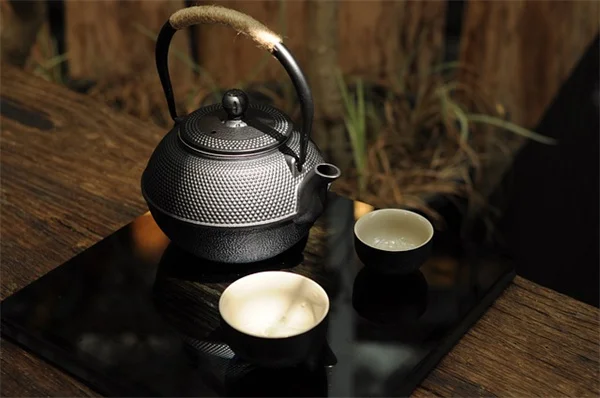 秋の宿根植物を分けるなら今！成功のコツと失敗しないタイミング