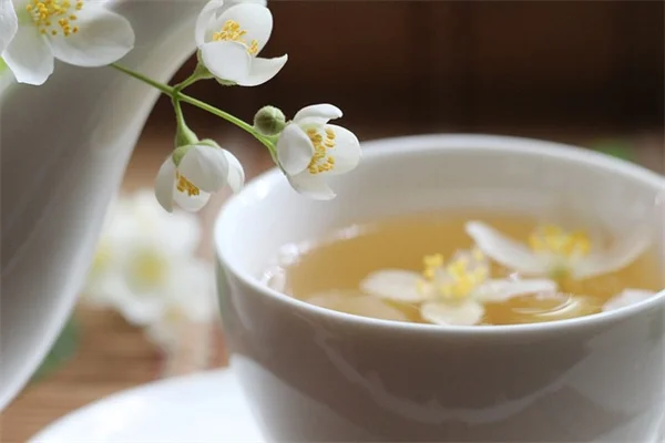 簡単！家族で楽しむ氷のサンキャッチャーの作り方